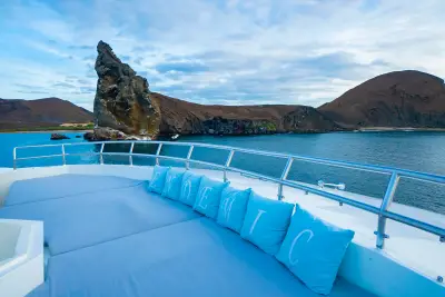 Sun Deck