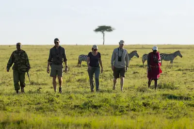 Guided bush walk with zebra