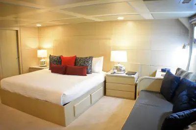 VIP Suite · king, 2 bathrooms
