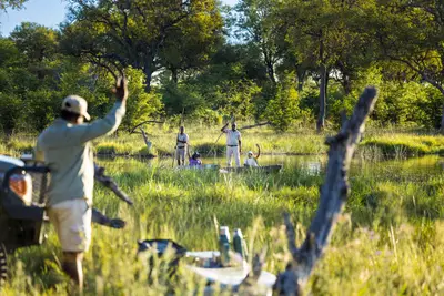 Mokoro outing through the reeds
