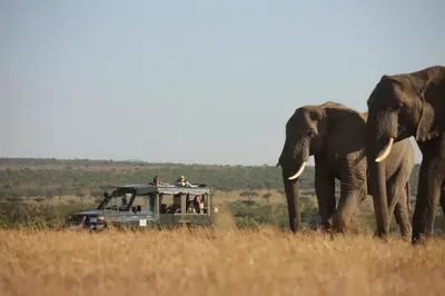 Game drive — elephants in Naboisho Conservancy