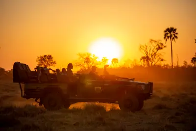 Game drive at sunset