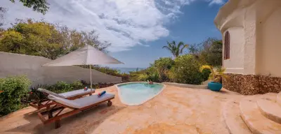 Plunge pool with ocean view