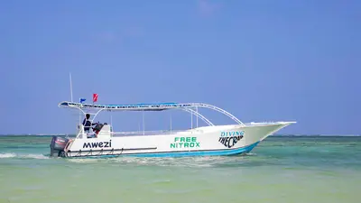 Dive boat heading out to the reef