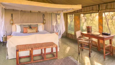 Guest tent with mosquito-net canopy
