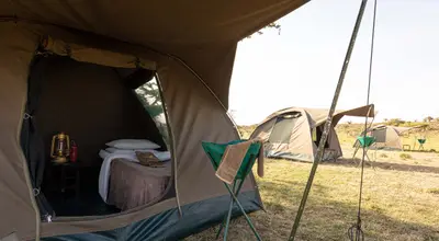 Wild-camp dome tent with camp bed
