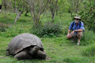 Giant Tortoise