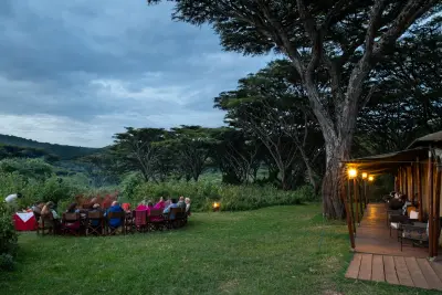 Dinner under the trees at dusk