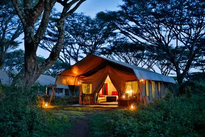 Guest tent lit up at dusk