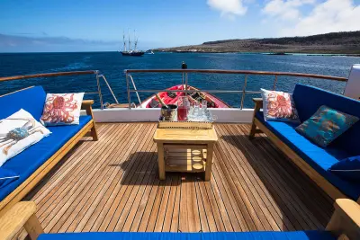 Sun Deck