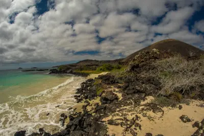 Island Exploration