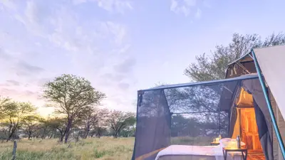 Star-gazing tent — bed under the mesh roof