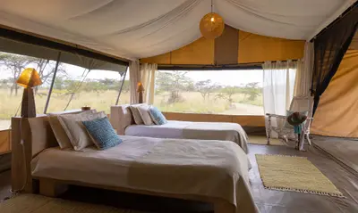 Standard tent in twin-bed configuration