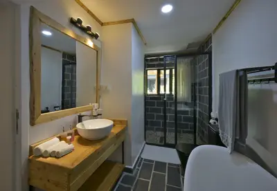 Cottage bathroom — vessel basin & walk-in shower