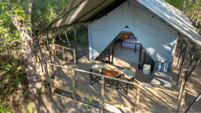 Tent from above in the woodland