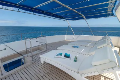 Sun Deck