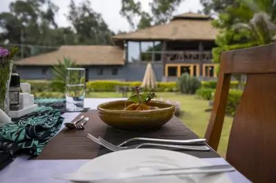 Lunch with a view of the gardens