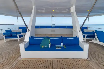 Sun Deck